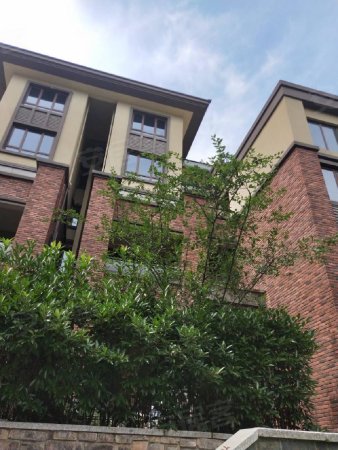 小和山高教园区精装,拎包入住超大花园,赠地下室-丁菊红店铺-杭州安居