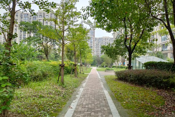 绿地新江桥城(南区)轨道交通方便吗?