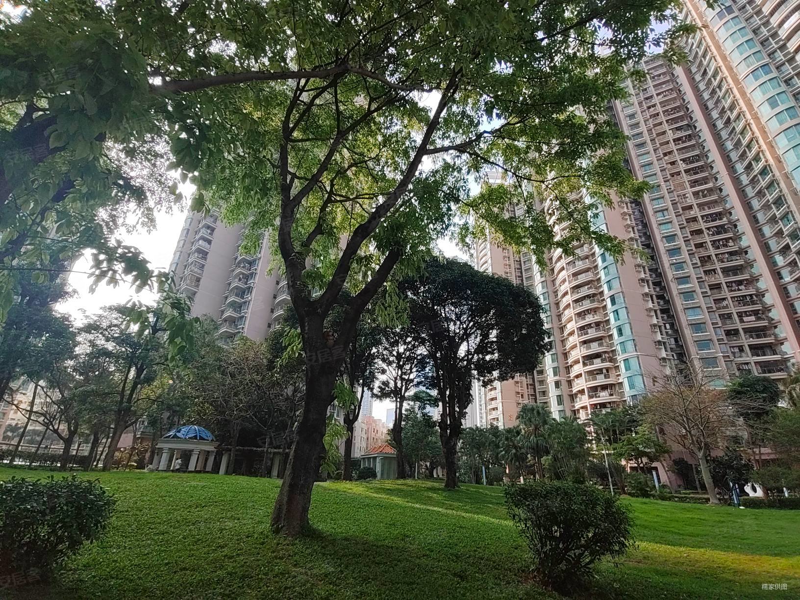 深圳美花园小区大金沙非常适合居家的好房