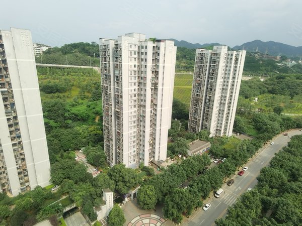 重庆南岸弹子石金港尚城弹子石 金港尚城三房1700元月出租房源真实