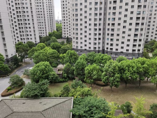 上海松江九亭华亭茗苑g60旁边,精装一房,敞开式厨房,智能电器,民用