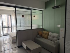 长沙天心天心区政府月租免押无中介友谊路一室一厅带投影可做饭出租房源真实图片