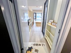 18号线周浦 小上海附近 品质公寓直租 押一付一 宠物友好