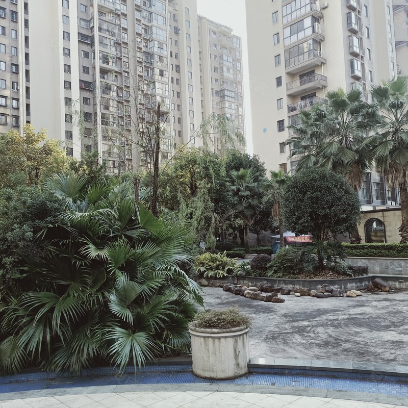 【东城国际, 东城国际小区详情,房价走势,房源,业主论坛】- 宁德58