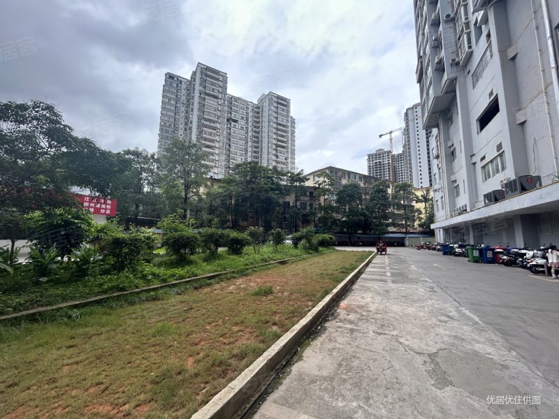 南湖  沛鸿中学 商务厅旁南湖御景 江景房朝南 采光好