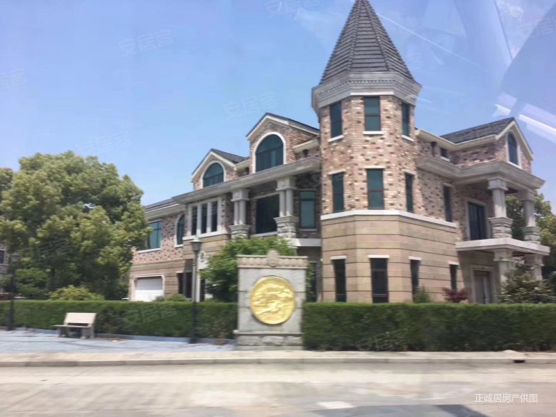 双洋湖畔 阳明山庄 欧式独栋别墅 低密宜居 大花园