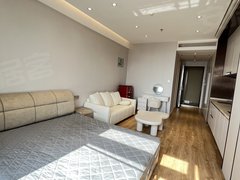 常熟市区文化片区出租世茂精装一室一厅，设施齐全，采光视野好，拎包入住，出租房源真实图片