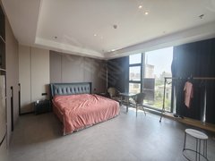 庆阳西峰西峰城区市政府附近 豪华装修一居室 家具家电齐全 拎包入住出租房源真实图片