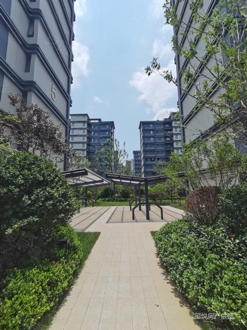 中电建国誉府3室2厅2卫136㎡南北260万