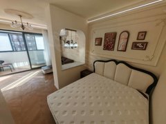 上海浦东康桥近康桥附近，朝南主卧独卫带阳台，拎包入住，干净整洁，电梯高层出租房源真实图片