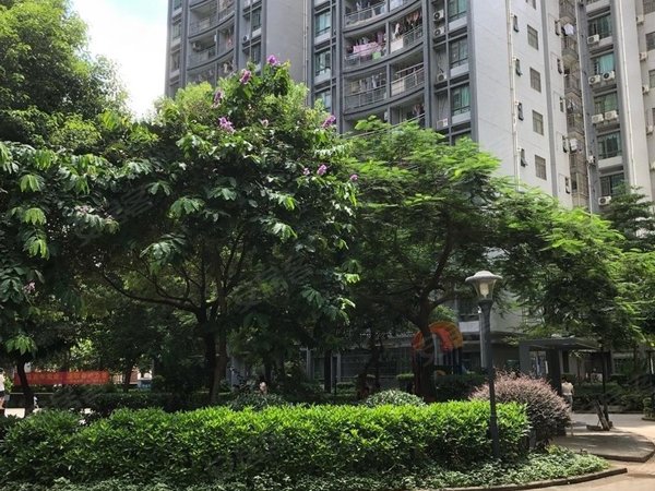 深圳宝安沙井恒源花园京基百纳商圈  恒源花园 花园小区  精装2 房