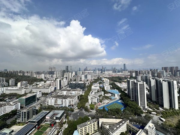 真实在租 可看 水湾1979精装1房 地铁2号线水湾站出租房源真实图片