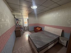 石狮石狮服装城世茂摩天城我是房冻德辉广场对面单间出租电梯房采光好出租房源真实图片