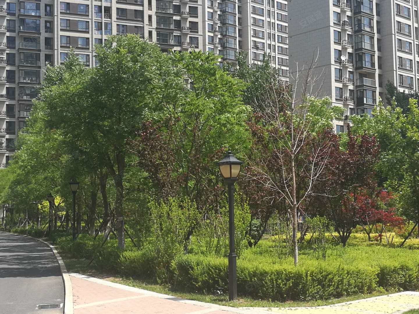 大连房产网>大连二手房>高新园区二手房>黄泥川二手房>悦龙居>1440