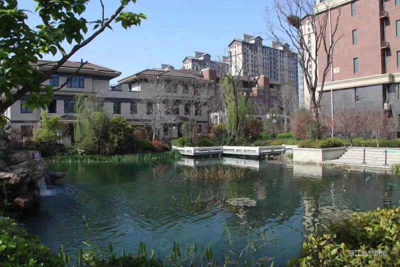 洛龙区 龙门一号 联排边户 花园180平 露台100平 满二,龙门一号(别墅)