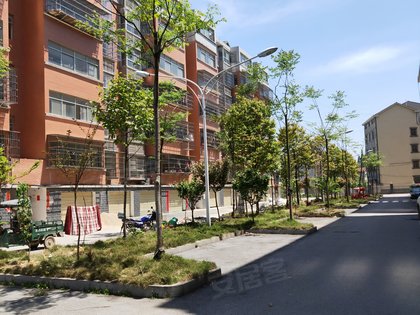 建新农场单位房