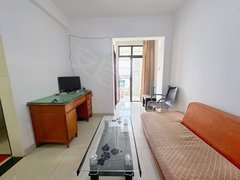 上海沙龙三期！电梯小公寓！标准一室一厅！带全套家具，没有家电