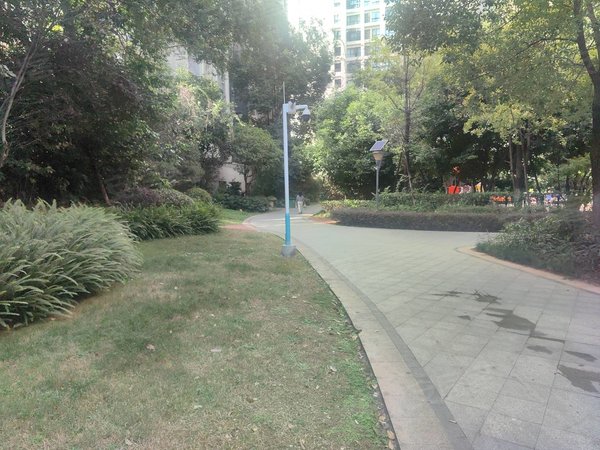 凉山西昌东部新城鑫海国际唐园 万达旁 环境好 生活方便 停车方便 随时看房出租房源真实图片