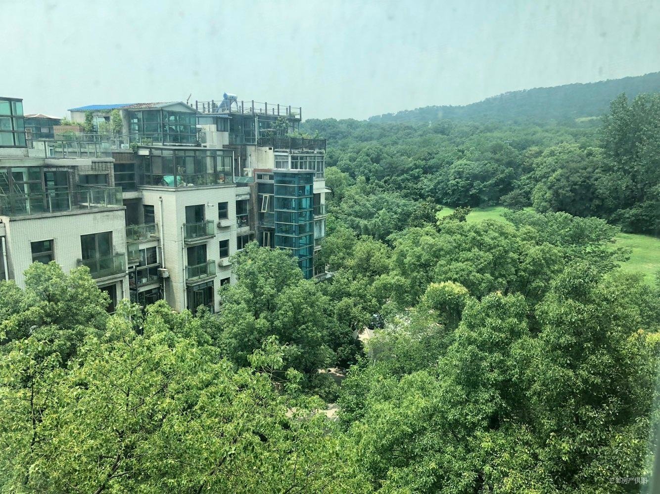 小区中间空中别墅挑高客厅全明户型电梯直观紫金山,天泓山庄二手房