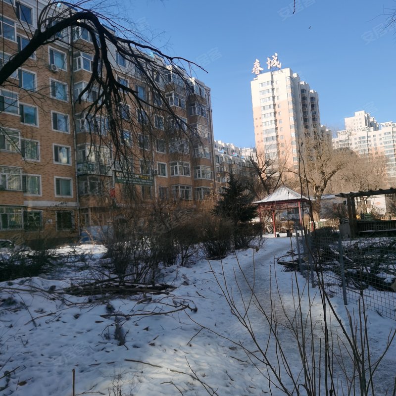 孙健2021-04-03 14:30:38小区户型中北春城一期 多层 顶是七带八复试