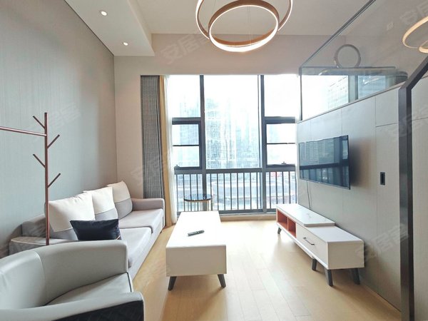 深圳龙岗大运仁恒梦公园仁恒梦公寓复式一房一厅loft公寓楼下花园小区