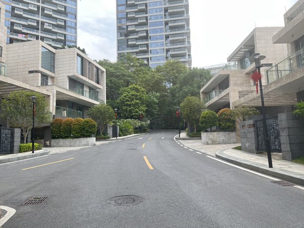 广州白云南湖新天半山墅独栋大别墅 带地下娱乐室 可接待 居家工作