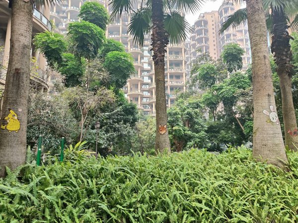 泸州江阳华润万象汇领秀嘉园世纪城忠山小学对面,领秀嘉园,住家三房