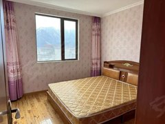 林芝巴宜民俗步行街幸福小区简装2室1厅1卫,电梯中高层,有家具家电,拎包入住出租房源真实图片