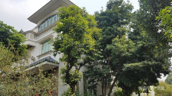 番禺桥南 德宝花园别墅 罕有放盘 城市中的别墅品质享受