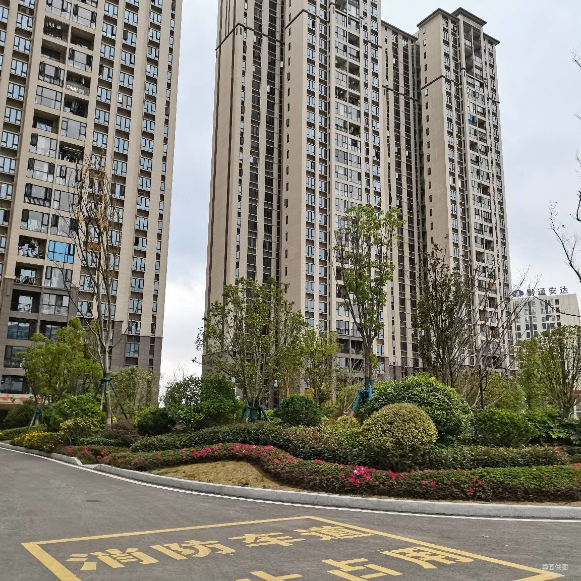 碧桂园西南上城紫御府