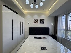 合肥新站火车站未来家园 采光好 20平 电梯房出租房源真实图片