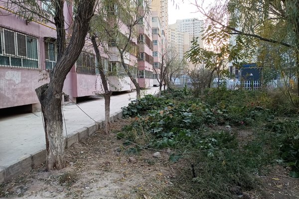 万里花园 迎宾路17号 阿克苏万里花园二手房 租房 阿克苏安居客 万里花园 迎宾路17号 阿克苏万里花园二手房 租房 阿克苏安居客