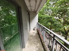 桂林象山中山南路房源采光好,南北通透,业主诚意出出租房源真实图片