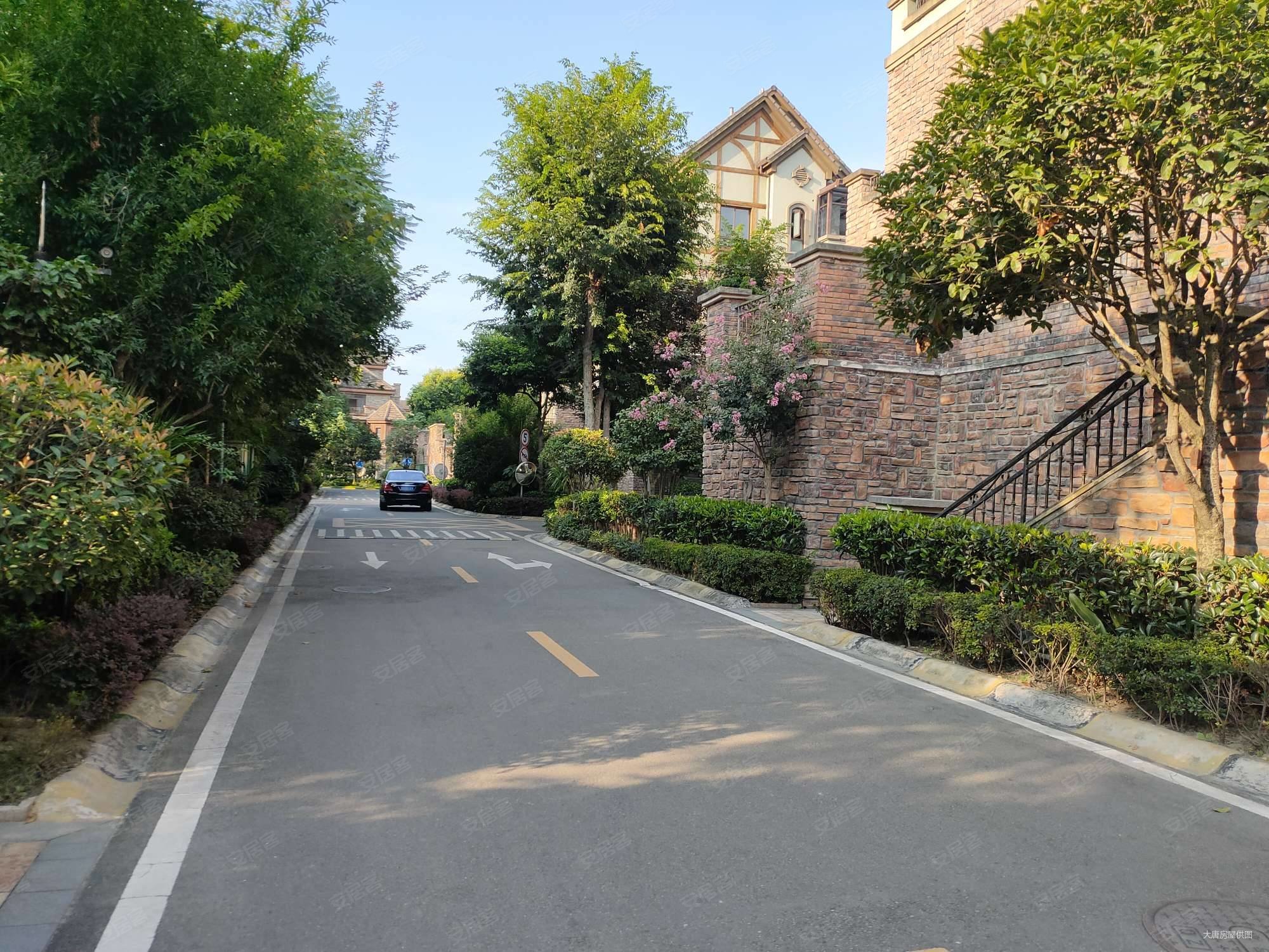 新津城区 南北通透 精装可拎包入住 产权清晰 联排别墅,廊桥水乡(别墅