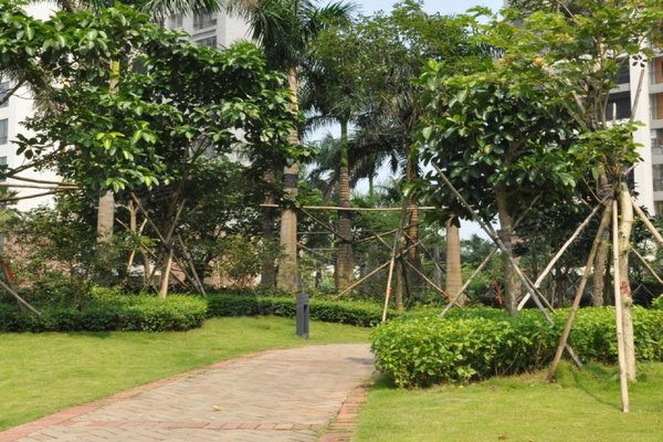 不足,唐园小区怎么样,唐园小区周边房产中介经纪人评价-佛山安居客