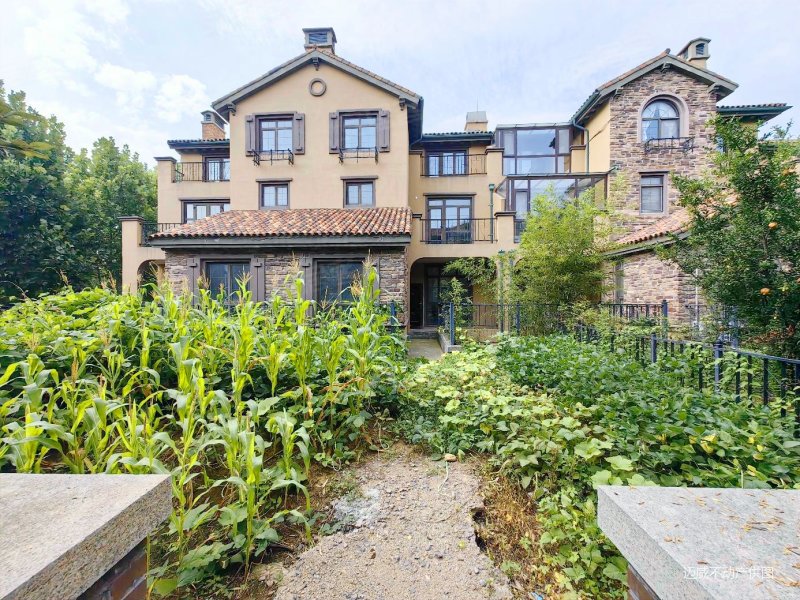 青建橄榄树别墅