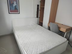 深圳福田农科中心竹园小区(南区) 4室1厅1卫 通风好 精装修出租房源真实图片