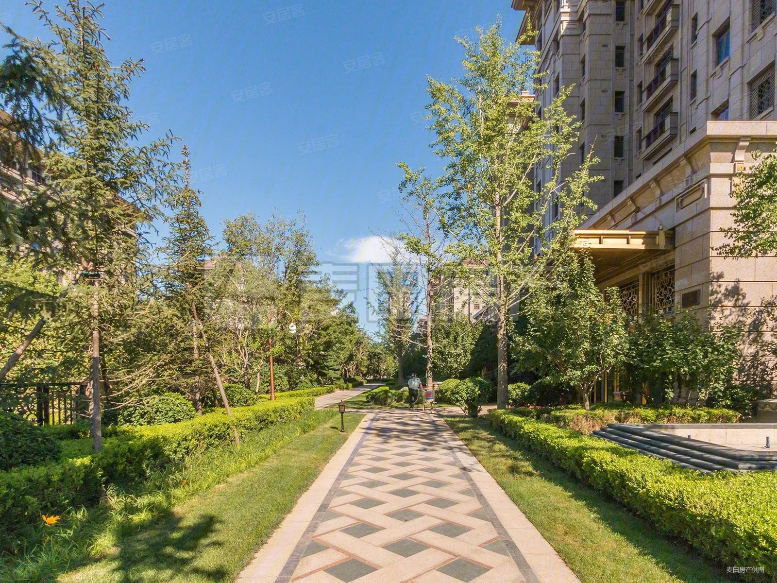 泛海世家东府4室2厅5卫377㎡南北6200万