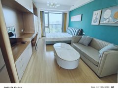 永康东城旅游商场新出房源 上和府公寓 高层电梯房 拎包入住出租房源真实图片