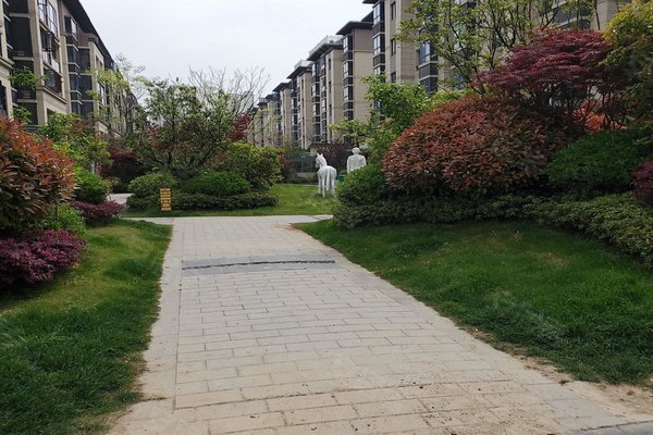 金鹏玲珑湾,黄山南路555号 - 滁州金鹏玲珑湾二手房,租房,房价-滁州