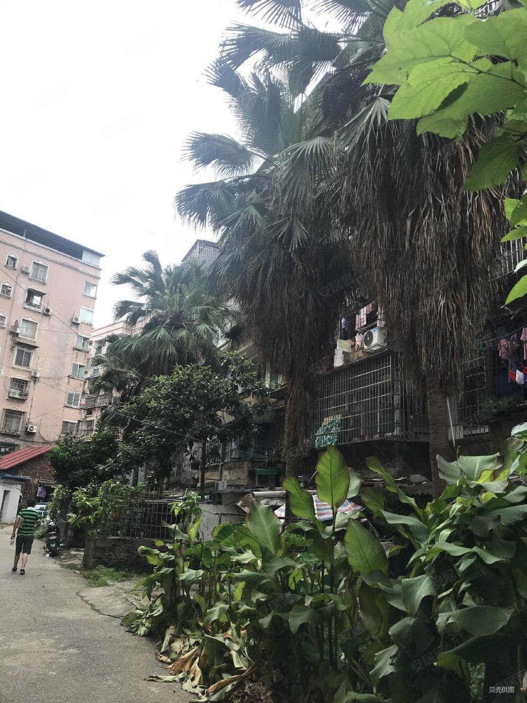 屏山新房装修