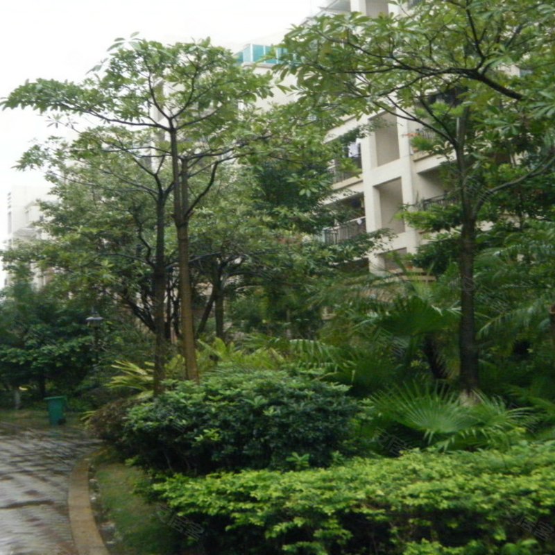 【星洲花园, 星洲花园小区详情,房价走势,房源,业主论坛】- 中山58