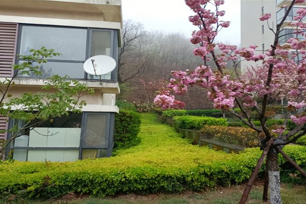 御景峰优点,不足,御景峰怎么样,御景峰周边房产中介经纪人评价-青岛