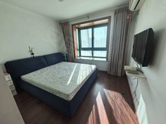 上海宝山月浦新月时代家园 1室2厅1卫  电梯房 随时看房出租房源真实图片