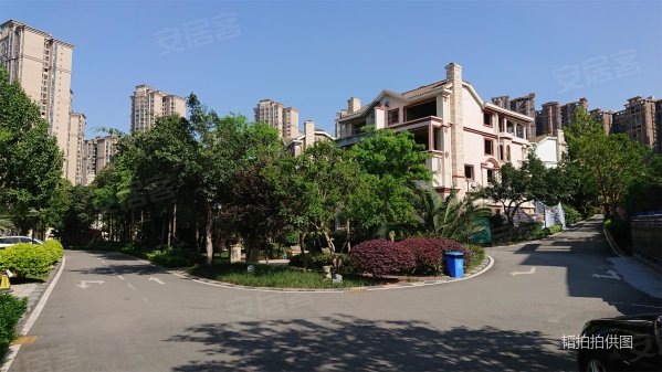 天府新区麓山大道!品质联排别墅!不要资格!不限够!咨询可降