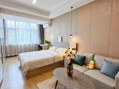 上海浦东周浦18号线周浦 繁荣路 精装整租公寓一室 押一付一 可做饭出租房源真实图片