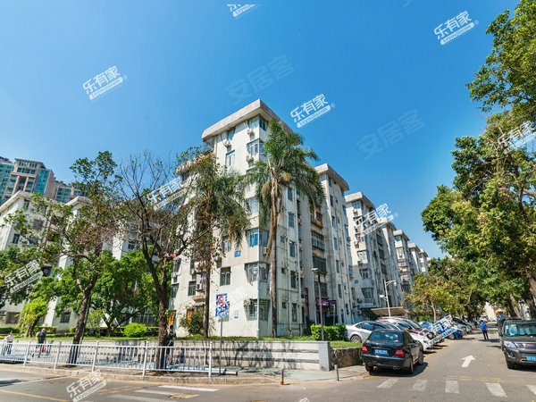 深圳罗湖水库东乐花园(罗湖)刚出精装修4楼2房,(水库学校喜荟城商圈)