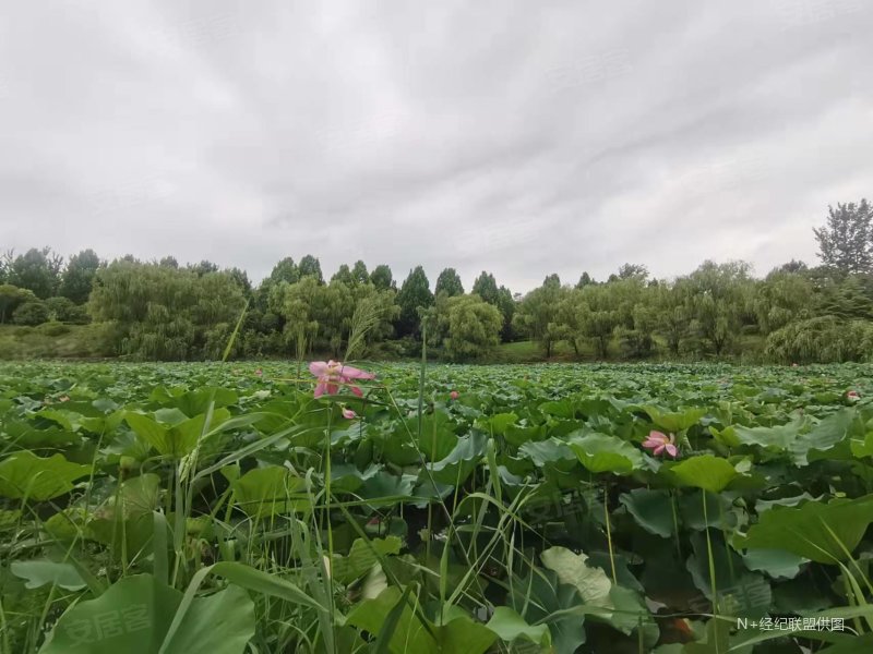 思念果岭悦庄(别墅)6室2厅4卫432㎡南425万