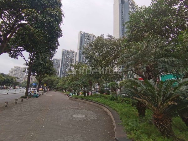【多图】民发大观天下,柳沙租房,民发大观天下精装大四房,家电家具