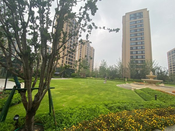 青岛李沧李沧周边水岸香都可月付中国海洋大学恒星科技学院三号线枯桃